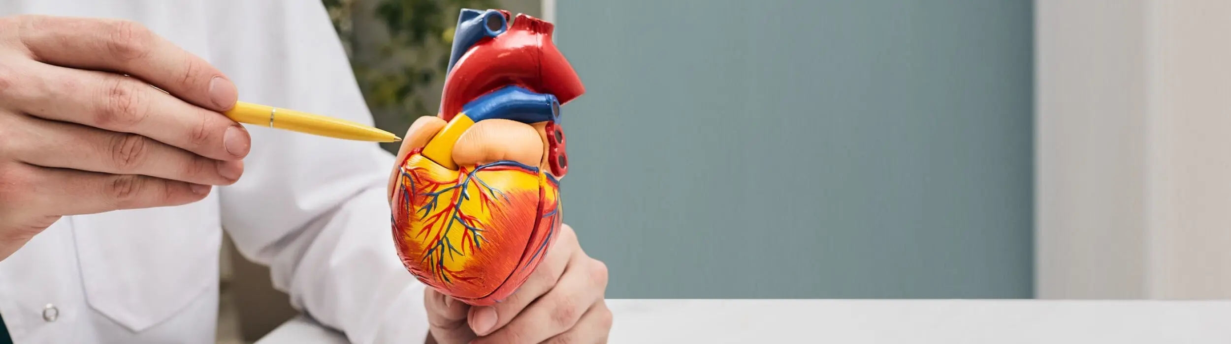 Consulta médica Cirurgião cardiovascular